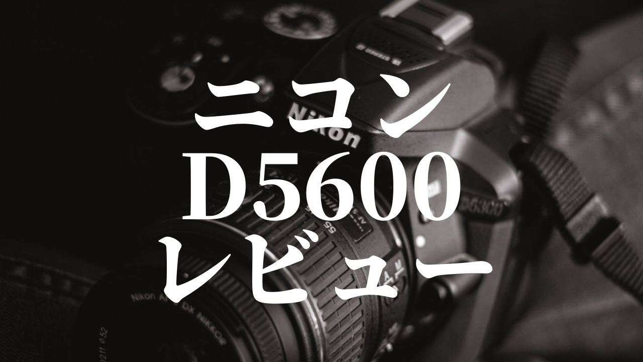 赤ちゃんが誕生 一眼レフデビュー ニコン D5600を買ってみた