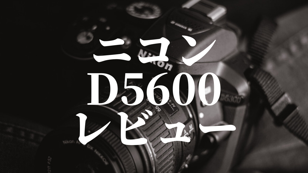 D5600